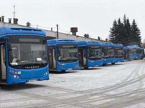 ФАС проверит законность победы «Питеравто» в конкурсе на перевозки в Новокузнецке
