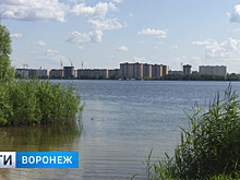 Пропавшую без вести женщину нашли в воронежском водохранилище