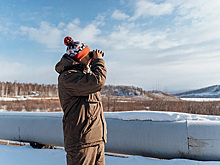 В России начали изучать животных при помощи затирания следов