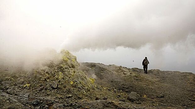 Ученые предложили необычный способ добычи редкоземельных металлов