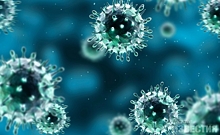В Курской области выявлено 23 новых случая заражения коронавирусом