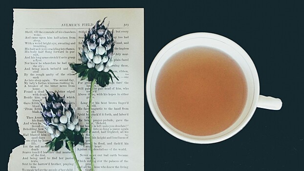 Чай с лимоном: правда ли он укрепляет иммунитет и борется с инфекциями