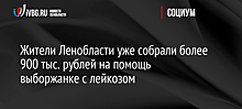 Жители Ленобласти уже собрали более 900 тыс. рублей на помощь выборжанке с лейкозом