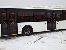 В Кирове поступили 10 новых автобусов большого класса