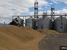 Компания жены курганского депутата судится с экспортером из Казахстана