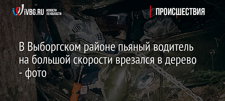 В Выборгском районе пьяный водитель на большой скорости врезался в дерево - фото