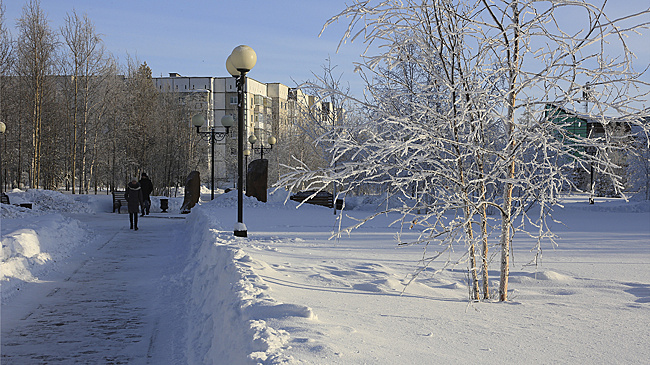 Трапезников распорядился усилить контроль за уборкой скверов и парков Тарко-Сале от снега