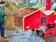 В Академическом районе откроют восемь пунктов в рамках акции «Елочный круговорот»