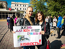 Астраханские зоозащитники призвали к соблюдению закона