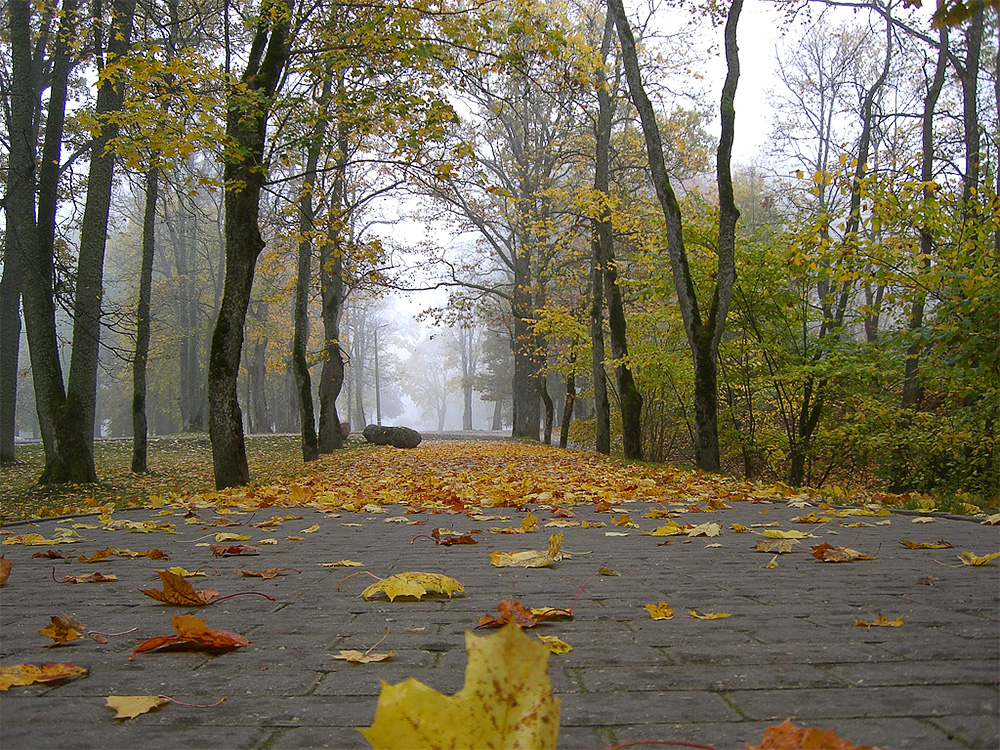 Юрмала, Латвия, Европа