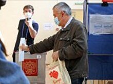 Явка на онлайн-голосовании по поправкам в Конституцию достигла 90%