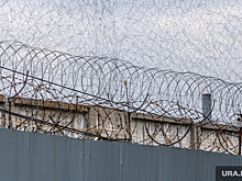 Тюменец, сломавший нос полицейскому, отправился в колонию