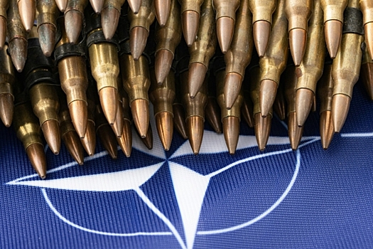 Пушков считает, что члены НАТО открестились от воинственных планов Макрона