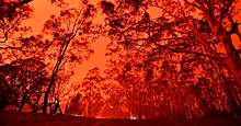 Плишкова – о пожарах в Австралии: «Только находясь здесь, можно почувствовать, насколько все плохо»