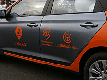 У водителя каршеринга в Москве изъяли львенка