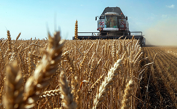 Россия рекордно нарастила экспорт продовольствия