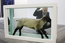 Дэмиен Херст использовал в своем искусстве 913 тысяч мертвых животных