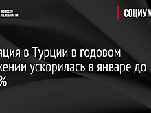 Инфляция в Турции в годовом выражении ускорилась в январе до 48,69%