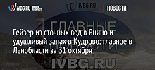 Гейзер из сточных вод в Янино и удушливый запах в Кудрово: главное в Ленобласти за 31 октября