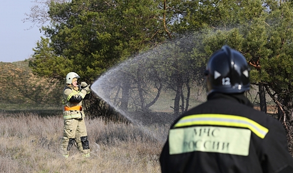 Под Волгоградом прошли учения МЧС по ликвидации ландшафтных пожаров