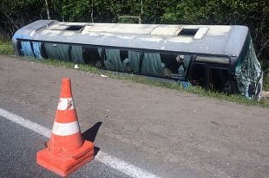 Продолжается расследование ДТП с участием детей в Стругокрасненском районе
