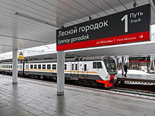 Более 20 «опасных троп» ликвидировали в Подмосковье с начала года