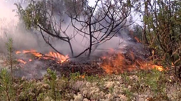 Добровольцы едут тушить крупный лесной пожар рядом с поселком в ЯНАО