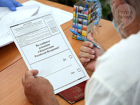 В Пензенской области в ходе голосования зафиксировали три вида провокаций