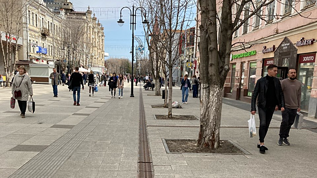 Чиновники: Новые газоны на проспекте Кирова появятся к маю