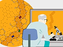 Большая жизнь маленьких машин