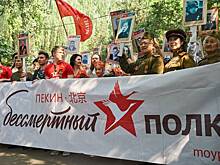 Отпор мировому фашизму: Как Россия и Китай сближают позиции в исторической памяти
