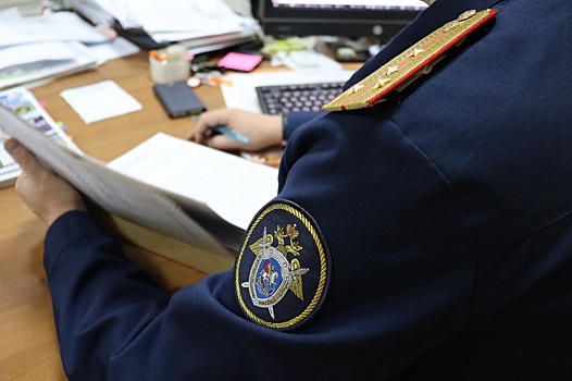 Полиция отказала в возбуждении уголовного дела на нижегородского депутата Станкевича