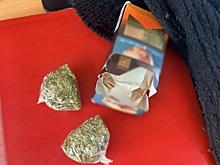 В Волгоградской области правоохранители нашли у пассажира автобуса наркотики