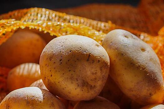 Росагролизинг заключил соглашение с «Союзом участников рынка картофеля и овощей»