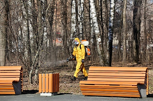 Нижегородские парки и леса начнут обрабатывать от клещей 15 апреля
