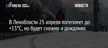 В Ленобласти 25 апреля потеплеет до +13°С, но будет снежно и дождливо