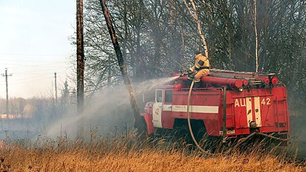 Площадь лесных пожаров в России выросла до 1,5 тысячи гектаров