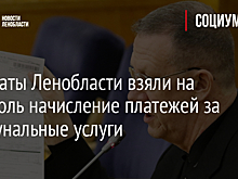 Депутаты Ленобласти взяли на контроль начисление платежей за коммунальные услуги