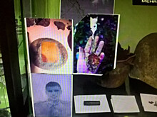 «Жди меня» ищет родных солдата, погибшего в Карелии во время войны