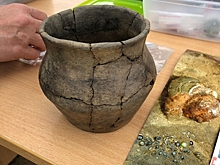 Древнюю настольную игру нашли при строительстве дороги под Калининградом