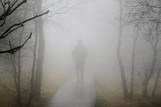 Рустам Минниханов сфотографировал туман, окутавший Казань утром