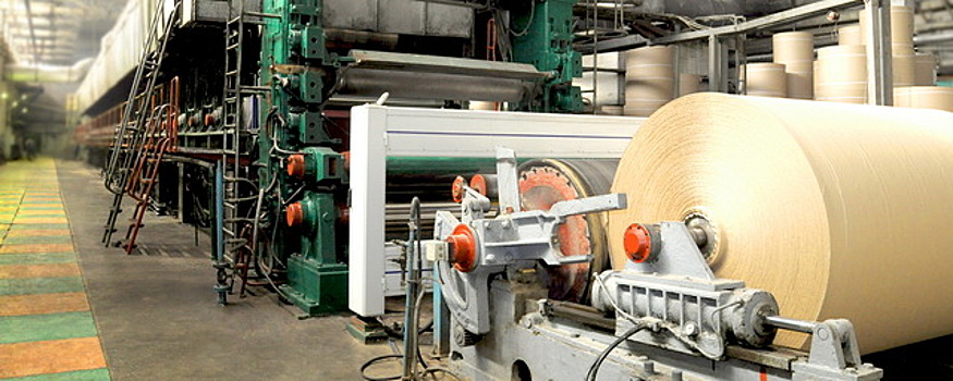 В Краснокамске построили современный лесоперерабатывающий комплекс