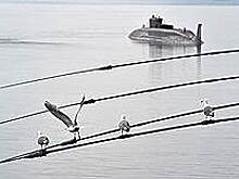 Северный морской трест