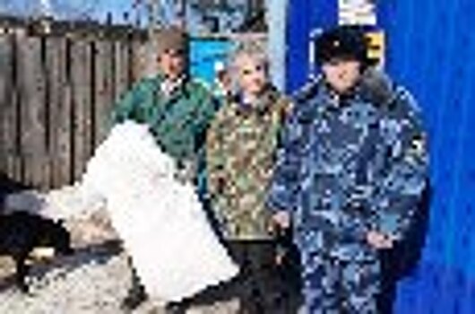 В городе Кунгур сотрудники ИК-18 ГУФСИН России по Пермскому краю оказали волонтерскую помощь приюту для бездомных животных