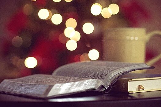 Библиотека № 214 приглашает 22 декабря на вебинар «Новый год и Рождество на страницах классики»