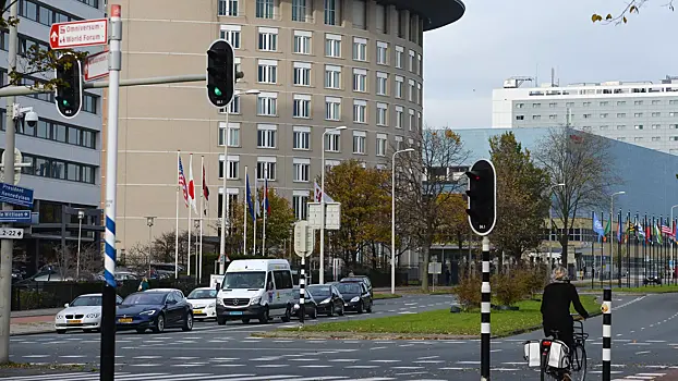 В Гааге произошли массовые беспорядки