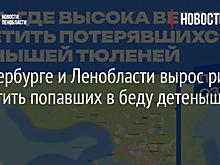 В Петербурге и Ленобласти вырос риск встретить попавших в беду детенышей нерп