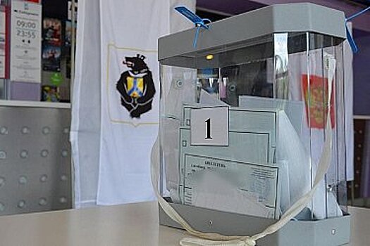 Информация о вбросе на избирательном участке в Хабаровске оказалась фейком