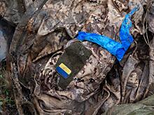 Марочко: Серебрянский лес в ЛНР усыпан трупами