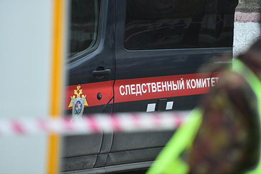 СК просит арестовать 23‑летнего москвича, подозреваемого в изнасиловании девочки